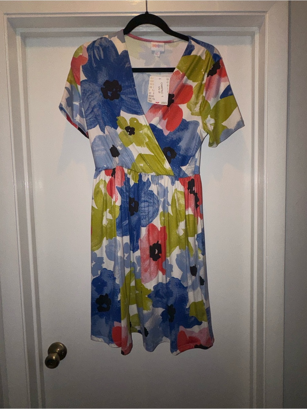 LuLaRoe Chantale Floral Cross Front Dress in Blue, Green & Pink